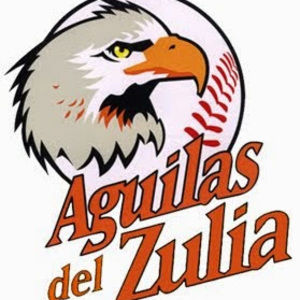 Meet your Posher, Edwin enrique